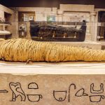 Unearthing Ancient Egypt gallery as if you were about to walk in. Pictured at the forefront is a mummy wrapped in traditional linens dating back to 332 BC. In the background is a black coffin with intricate design and art that dates back to between 1479 and 1336 BC.