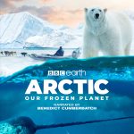 Arctic Our Frozen Planet 3D