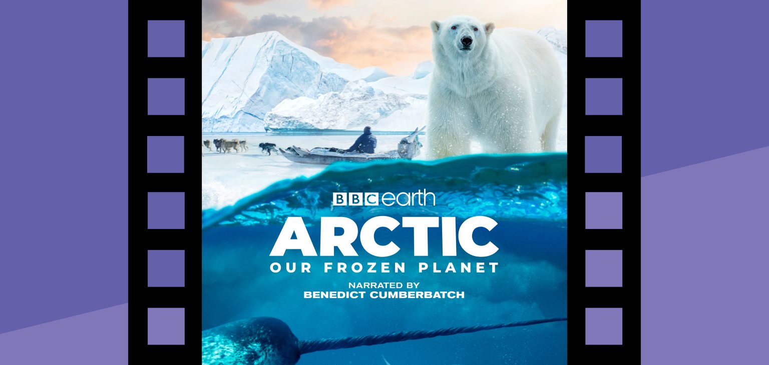 Experience the Arctic: Our Frozen Planet 3D movie at the Putnam's GIANT Screen Theater
