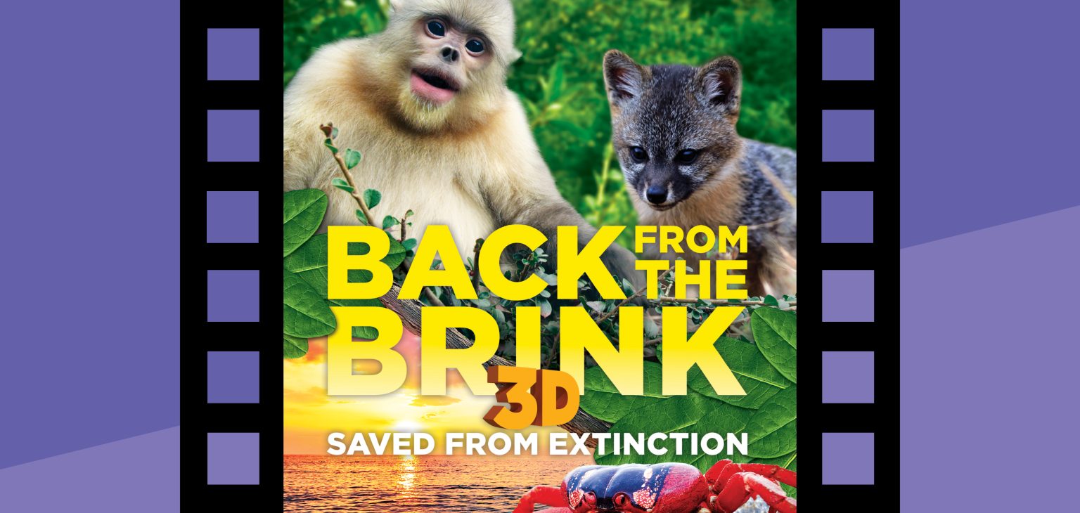 Experience the Back From the Brink: Saved From Extinction 3D movie at the Putnam's GIANT Screen Theater
