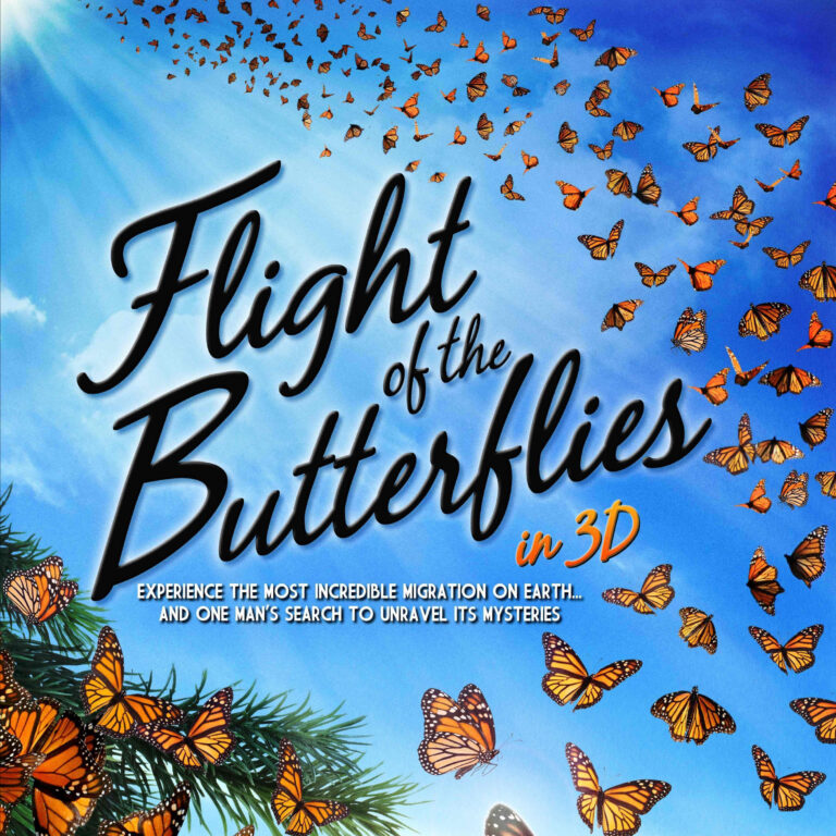 Sensory-Friendly Flight of the Butterflies