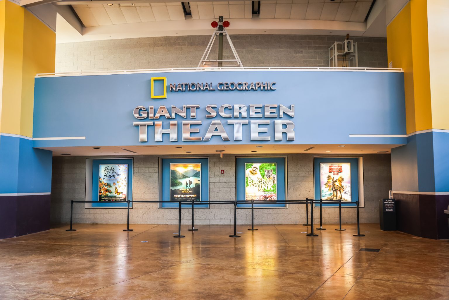 The GIANT Screen Theater entrance in the Grand Lobby of the Putnam Science Center. The wall is blue and the letters name the theater in big, bold, white letters.