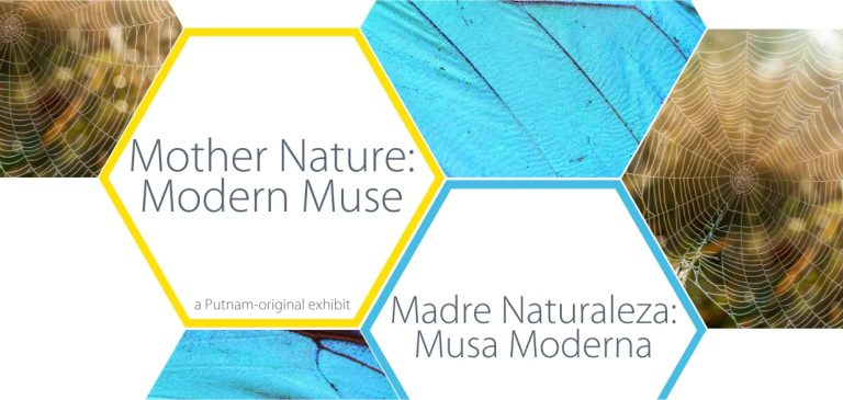Mother Nature: Modern Muse exhibit explores bio mimicry