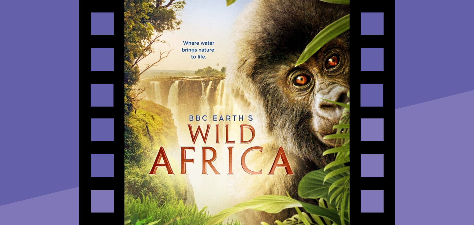 Wild Africa 3D