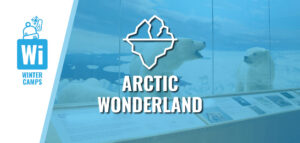 Arctic Wonderland winter day camp at the Putnam Museum.