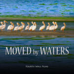 Moved By Waters