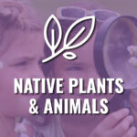 Native Plants and Animals