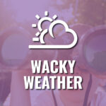Wacky Weather