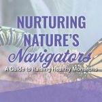 Nurturing Nature's Navigators: Raising Healthy Monarchs