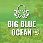 Jr Explorers: Below the Big Blue Ocean