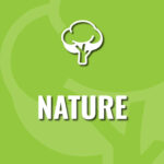 Kinder Explorers: Nature
