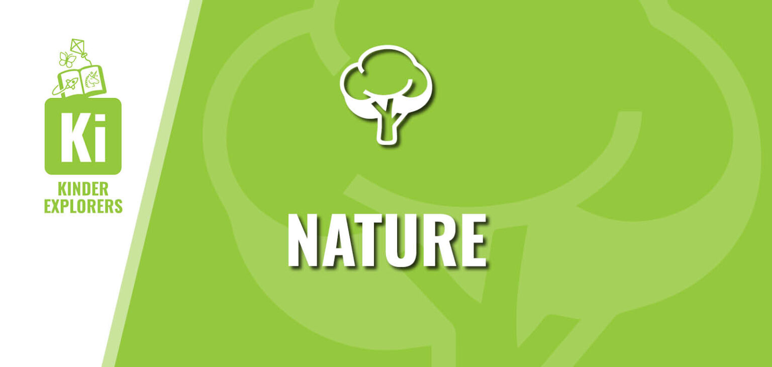 Kinder Explorers: Nature
