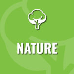 Junior Explorers: Nature