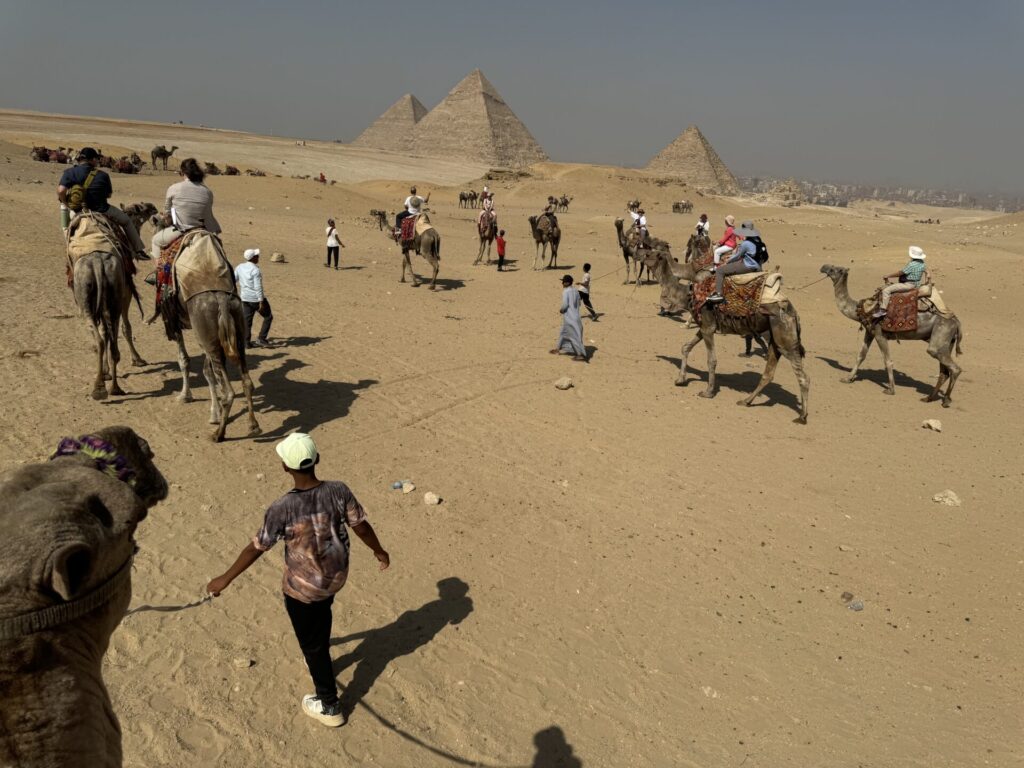 view of pyramids of giza from a camel