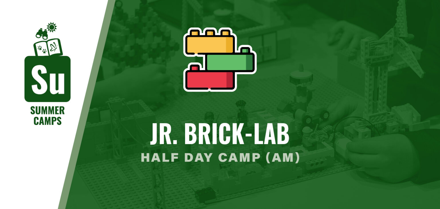Jr. Brick-Lab