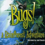 Bugs! A Rainforest Adventure (Sensory Friendly)