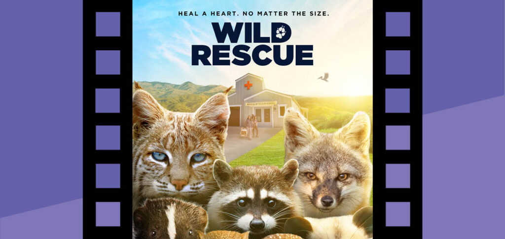 wild rescue movie poster