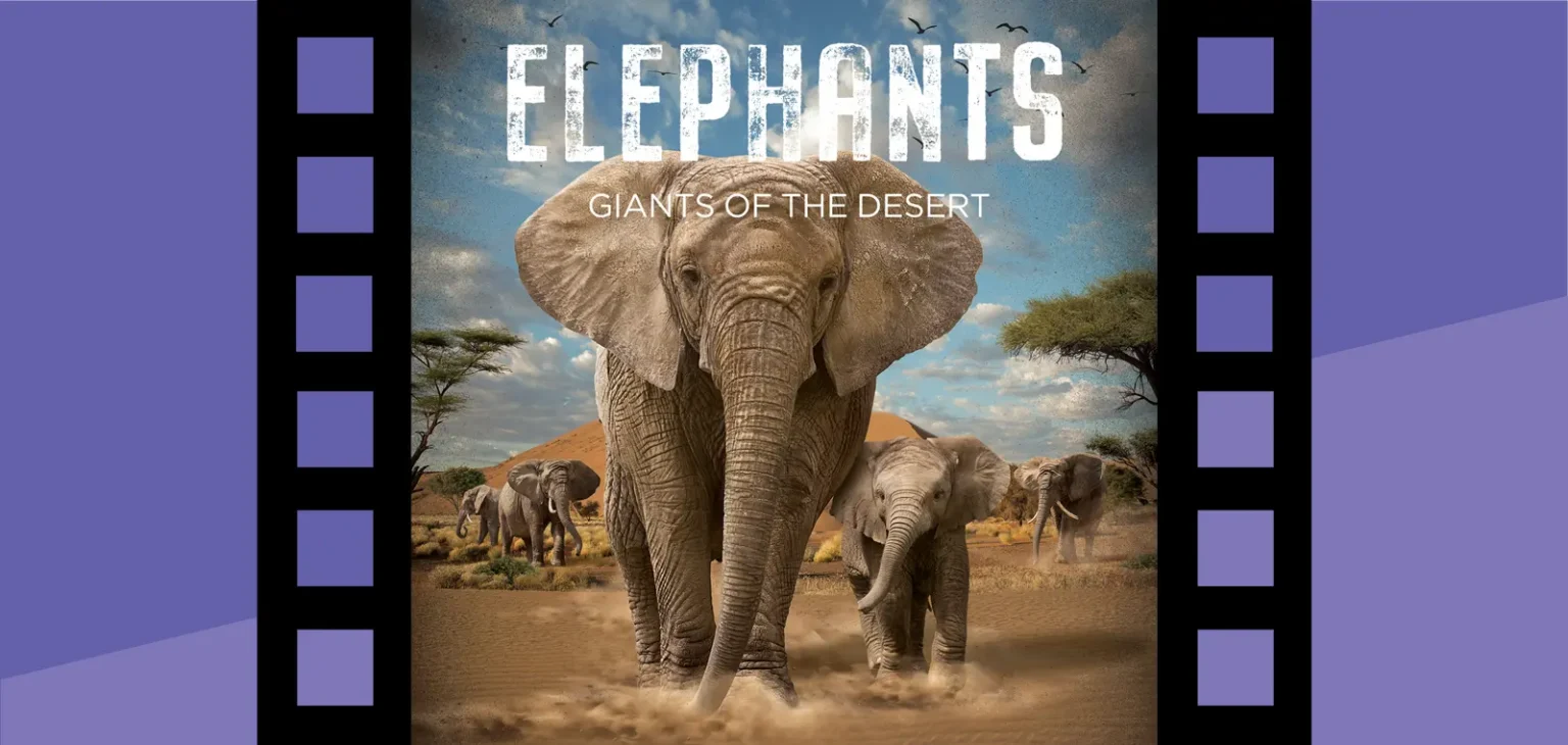 Elephants: Giants of the Desert on the GIANT Screen at the Putnam Museum