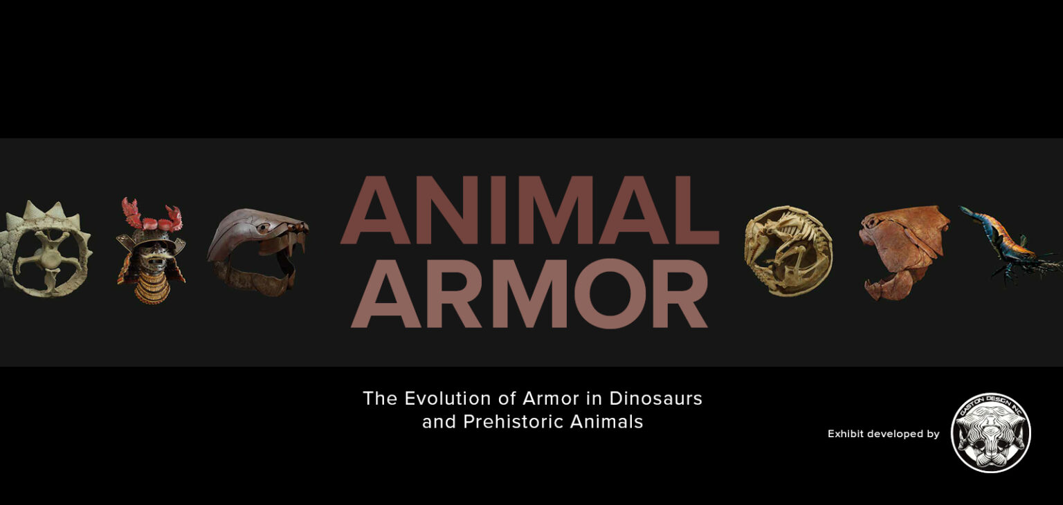 Animal Armor at the Putnam Museum