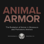 Animal Armor