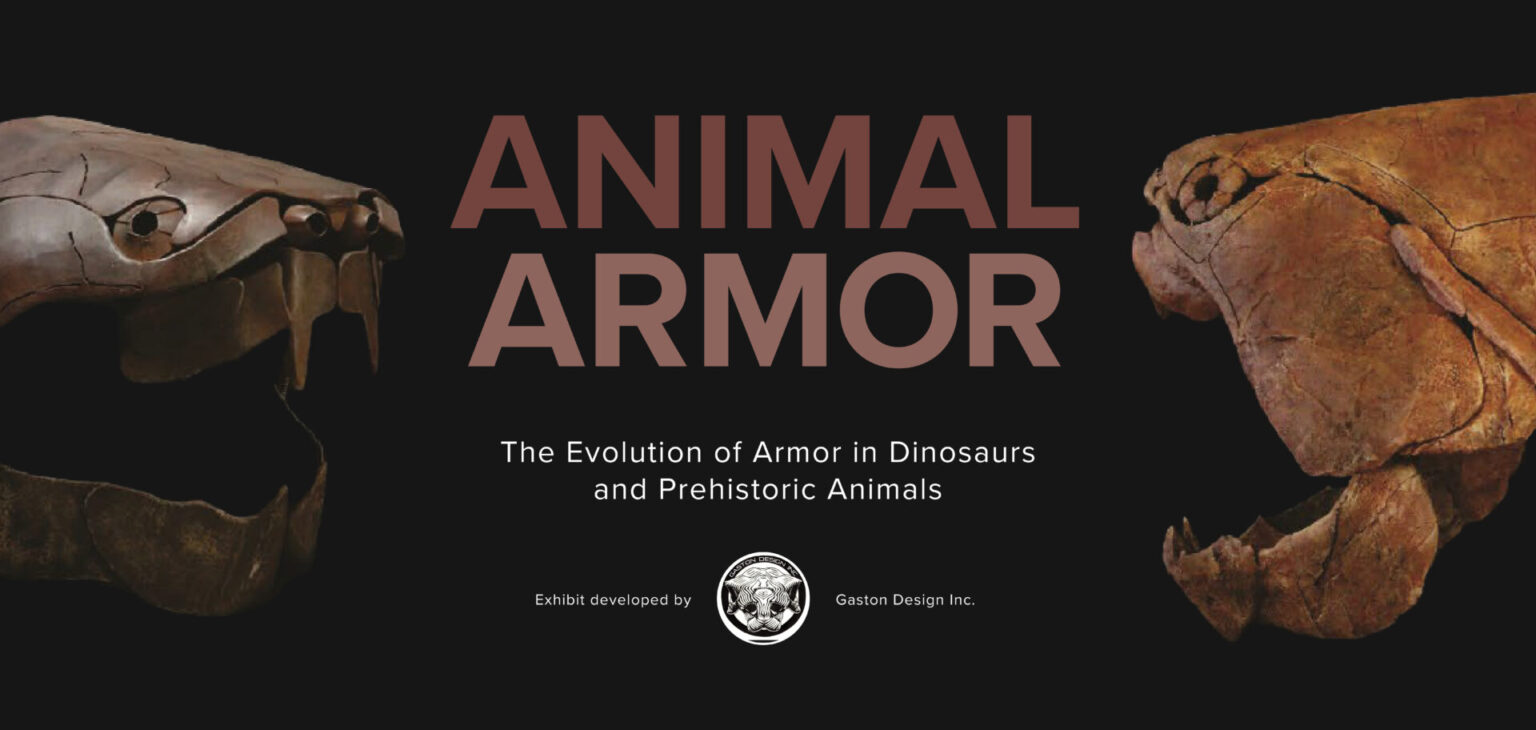 Animal Armor