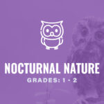 Grades 1-2: Nocturnal Nature