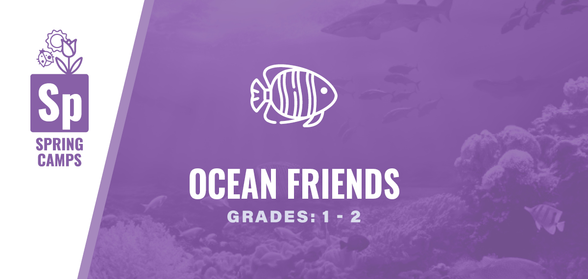 Grades 1-2: Ocean Friends