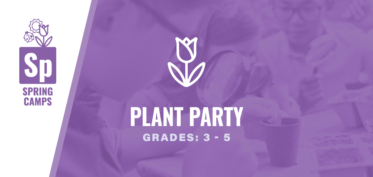 Grades 3-5: Plant Party
