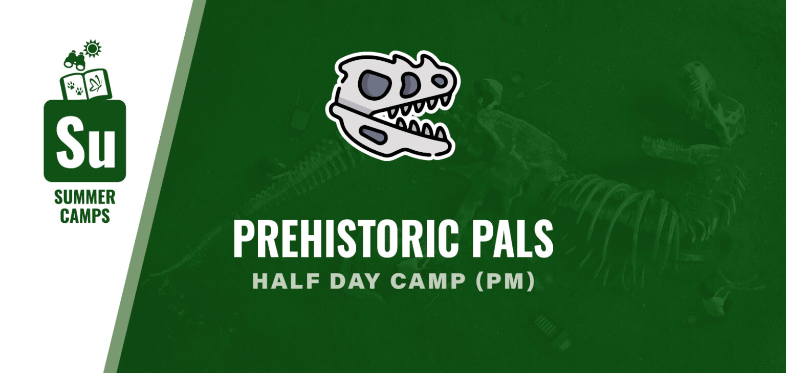 Prehistoric Pals