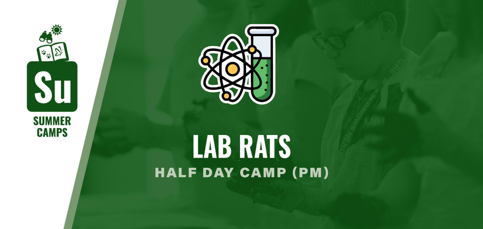 Lab Rats Key Image
