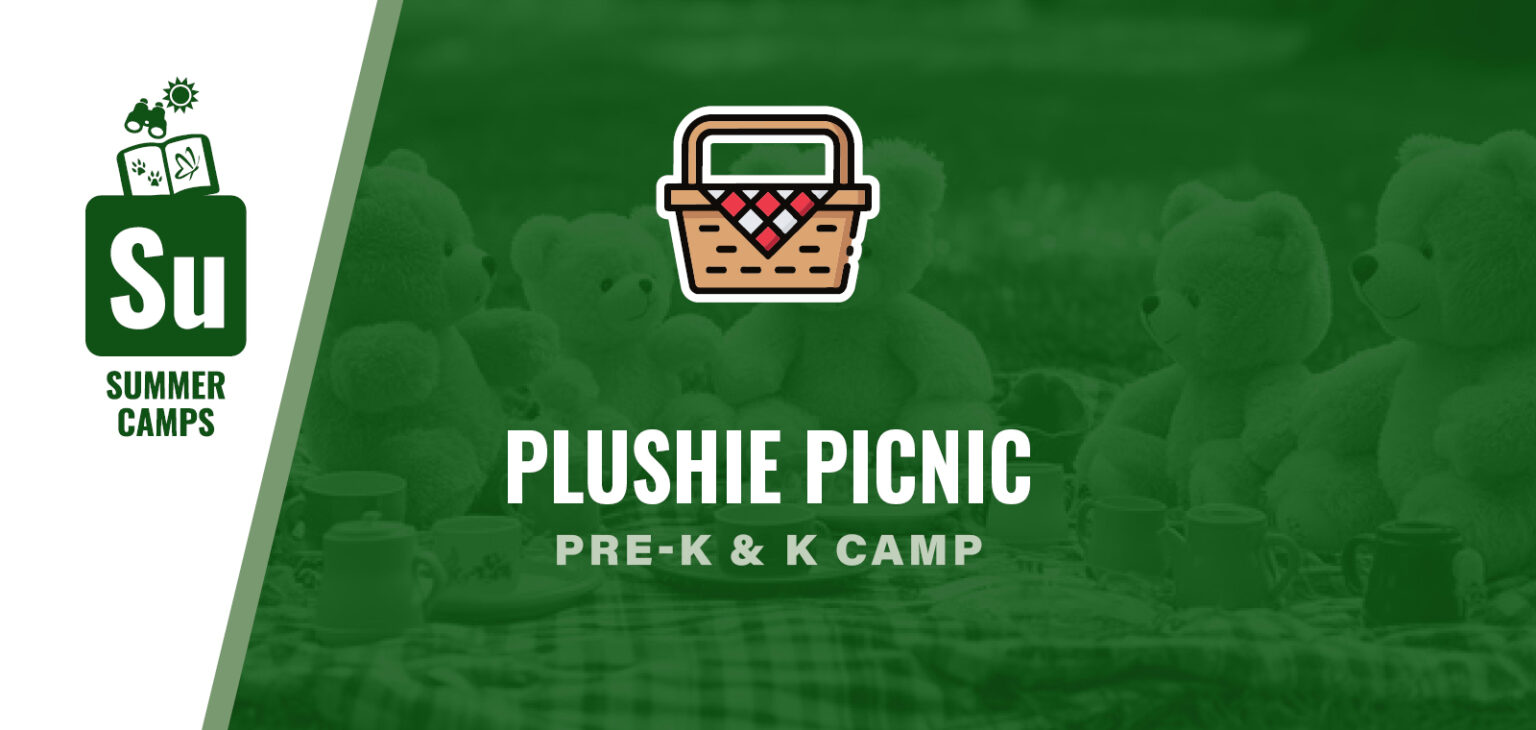 Plushie Picnic