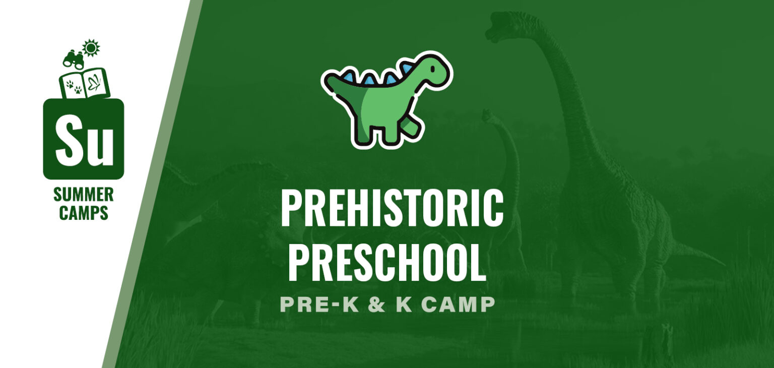 Prehistoric Preschool
