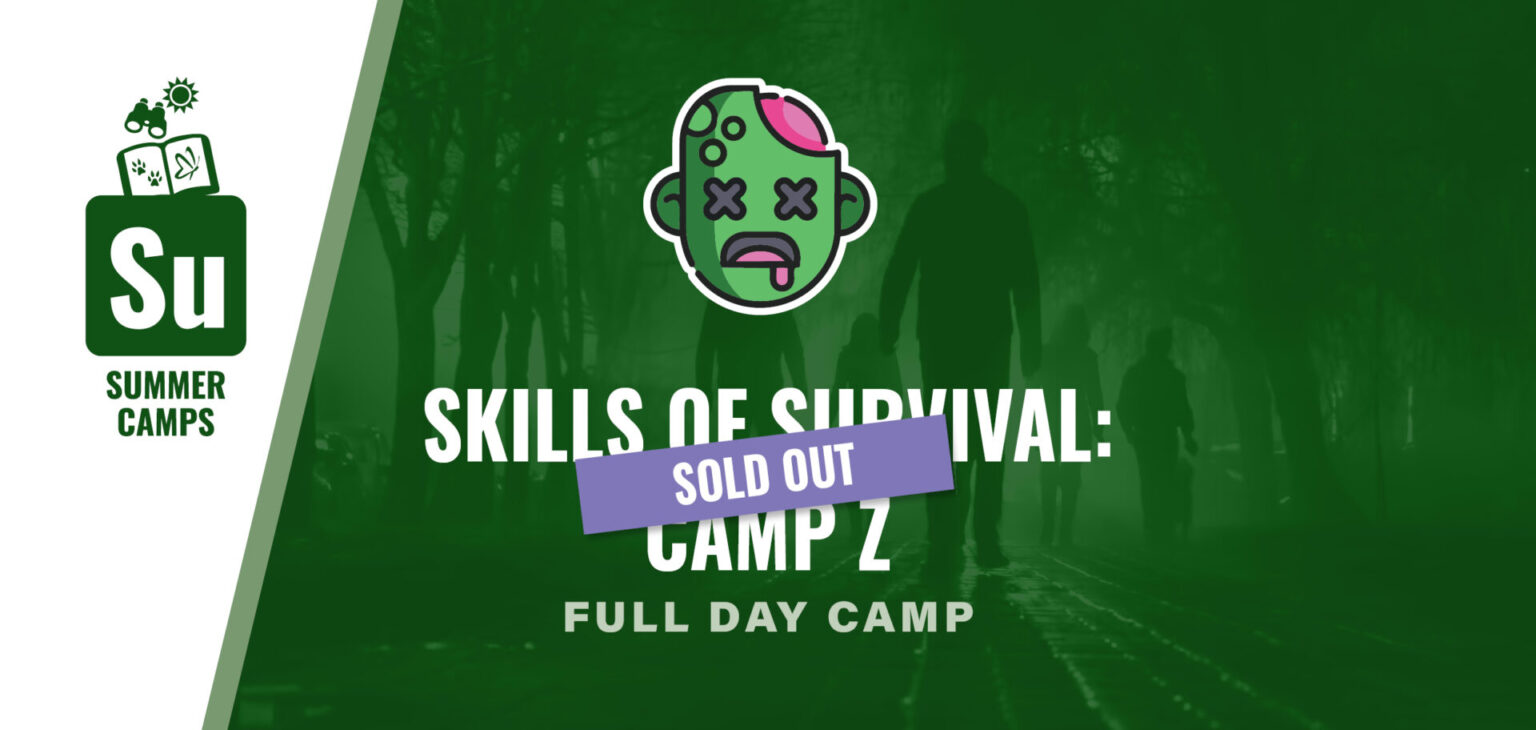 Summer Camp: Skills of Survival SOLD OUT