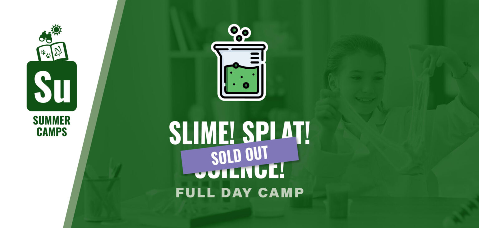Slime! Splat! Science! SOLD OUT