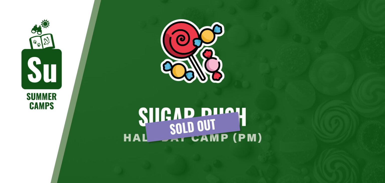 Sugar Rush SOLD OUT