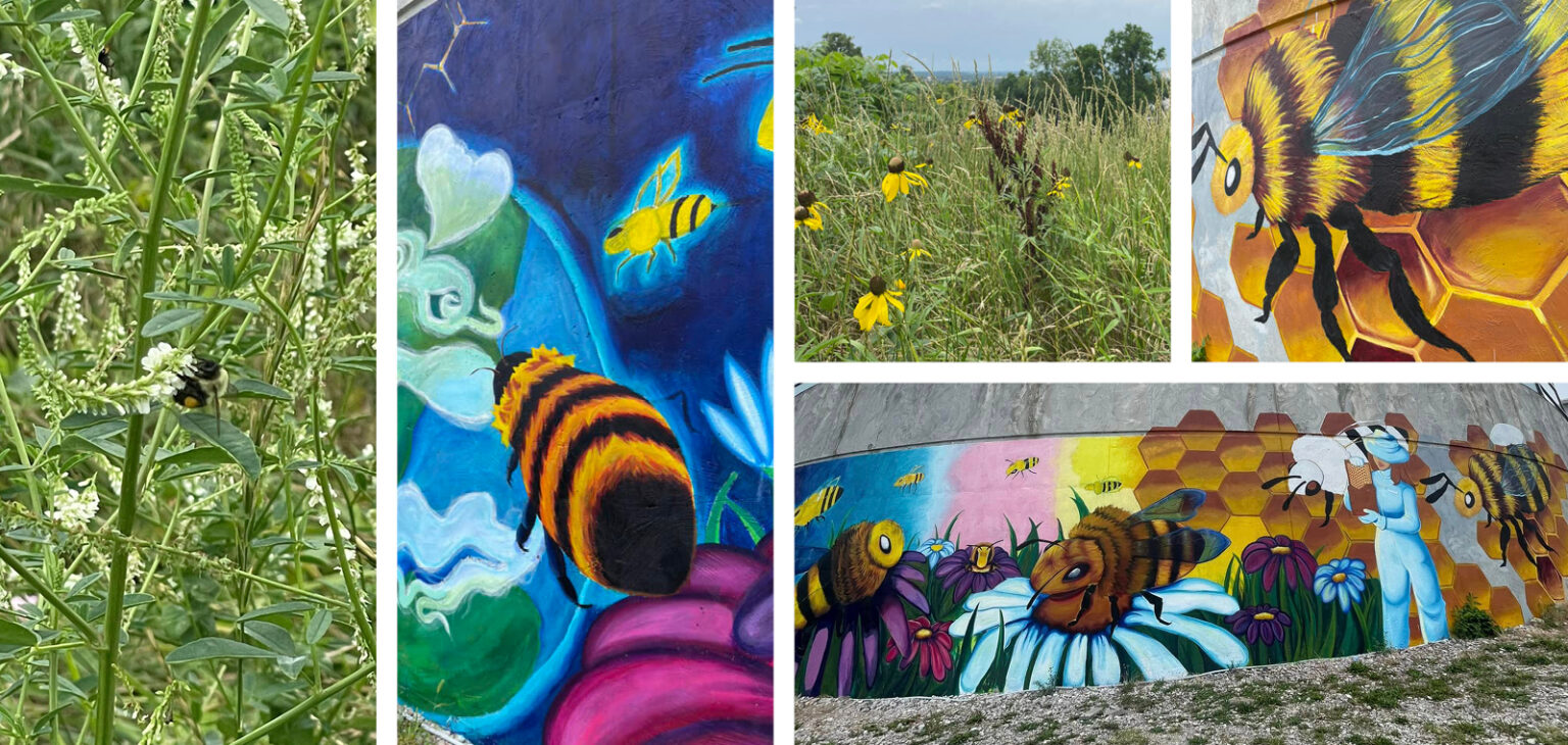 Putnam Museum South Lawn and Mural