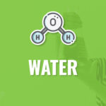 Junior Explorers: Water