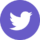purple twitter icon